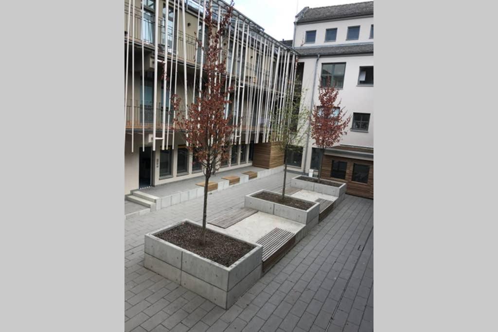 Central, Modern, Mit Grossem Balkon Checkin123 Висбаден Экстерьер фото